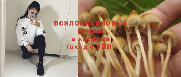 мет Нея