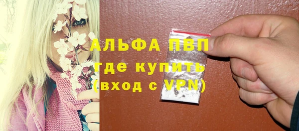 мяу мяу мука Надым