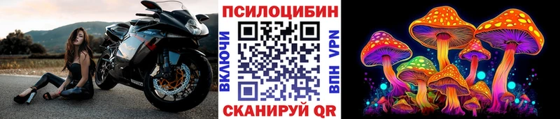 Псилоцибиновые грибы прущие грибы  Купить где  Шумерля 