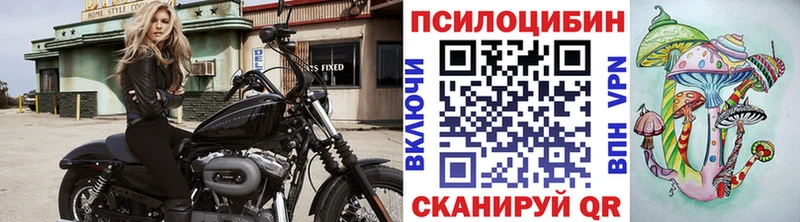 Псилоцибиновые грибы GOLDEN TEACHER Шумерля